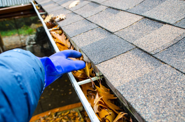 Eavestrough Cleaning Guelph