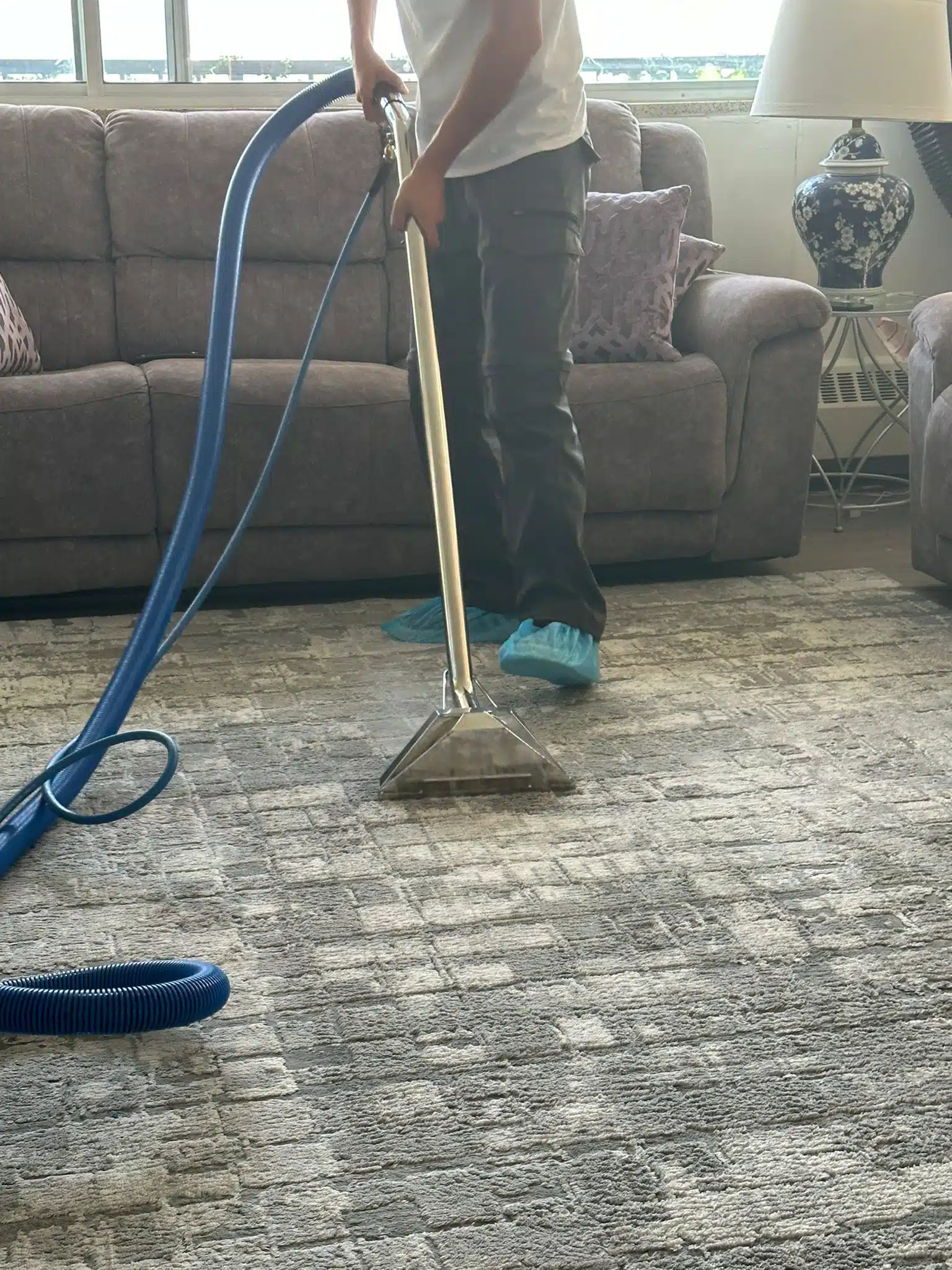 Carpet cleaning job in a Kitchener home